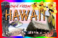 Aloha From Hawai'i - #391